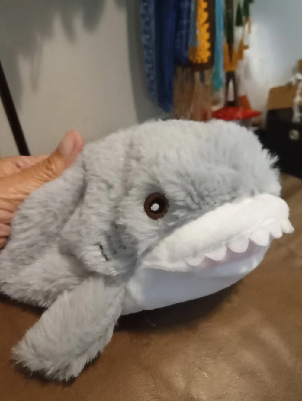 N/A fluffy shark